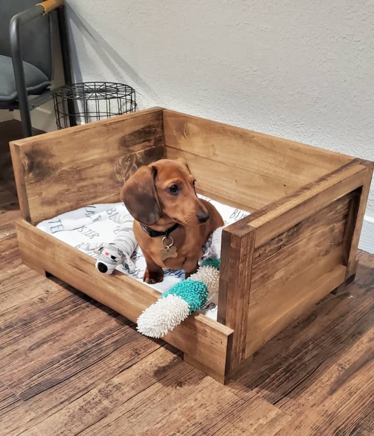 Diy covered 2024 dog bed